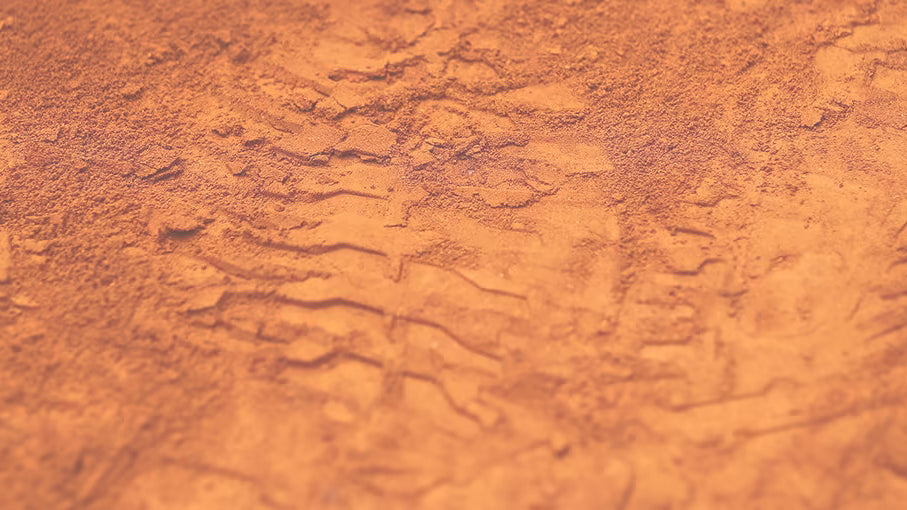 The french Open is here!