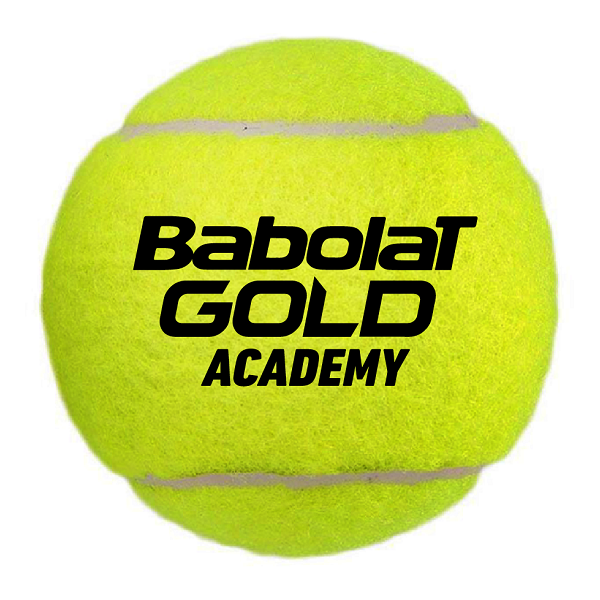 Gold Academy Bag x72